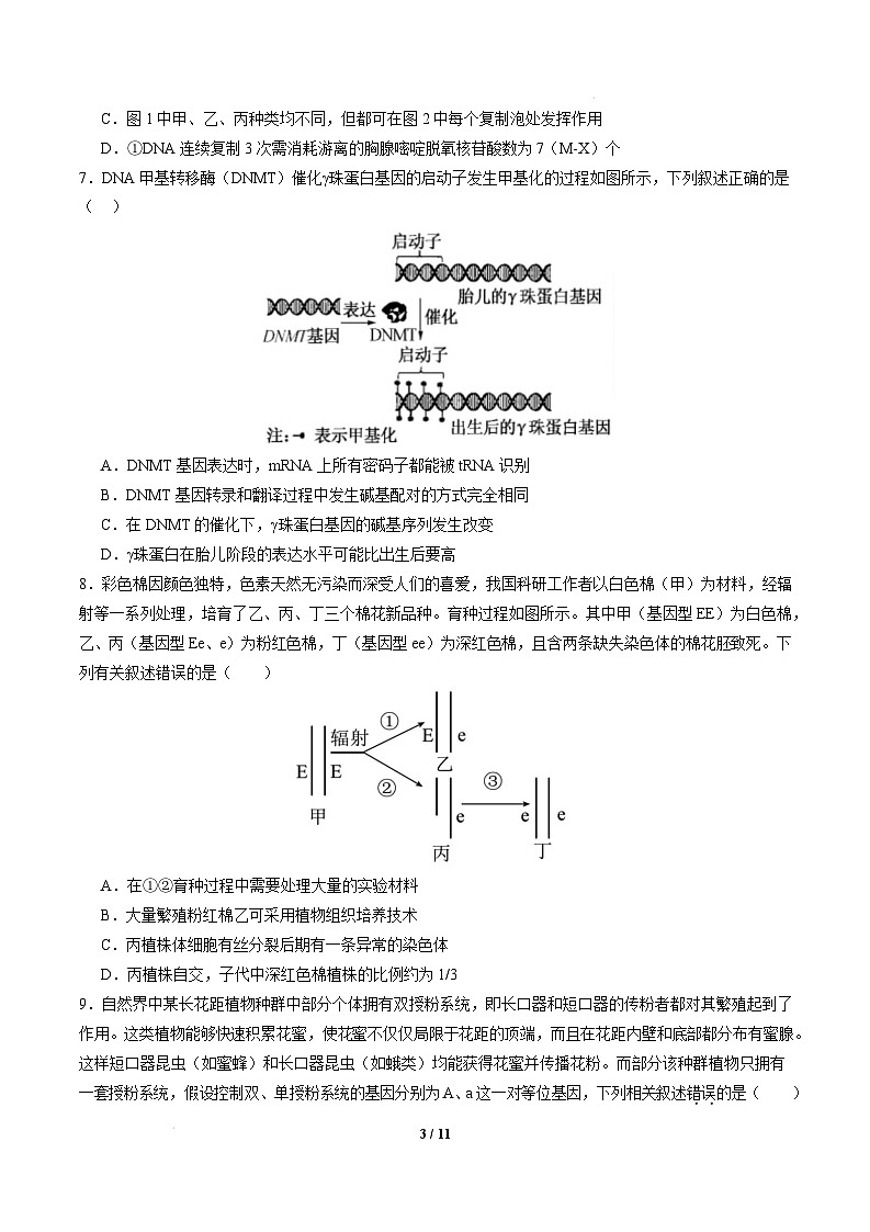 【开学摸底考】高三生物开学摸底考(陕西、山西、宁夏、青海专用)-2024-2025学年高中下学期开学摸底考试卷(考试版)第3页