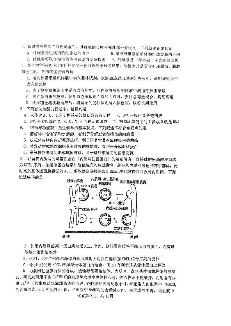 2025三明三校协作高一上学期12月联考试题生物PDF版无答案第2页