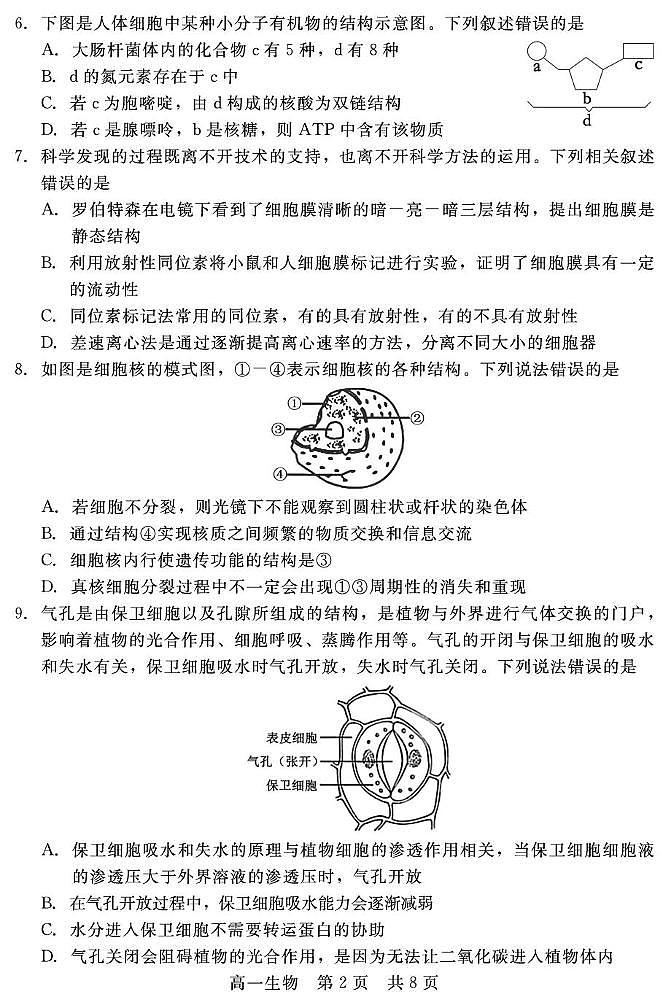 2025邯郸NT20名校联合体高一上学期期末考前实战大演练试题生物PDF版含解析第2页