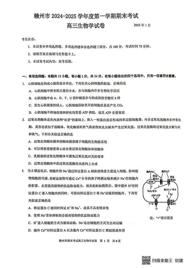 赣州市2024~2025学年度第一学期期末考试高三生物试卷 高三生物第1页