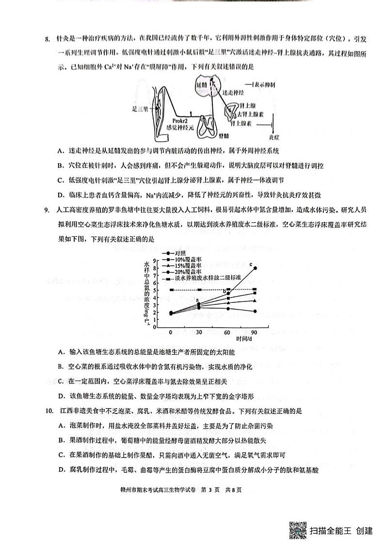 赣州市2024~2025学年度第一学期期末考试高三生物试卷 高三生物第3页