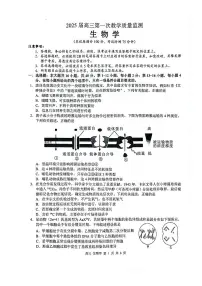广西玉林市2025届高三上学期第一次教学质量监测生物试卷及参考答案