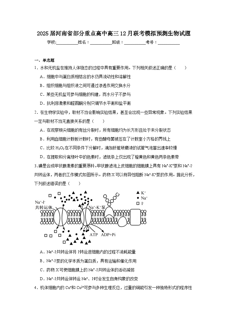 2025届河南省部分重点高中高三12月联考模拟预测生物试题