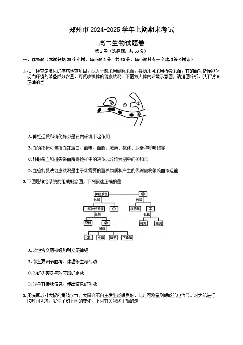 郑州市2024-2025学年高二上学期期末生物试卷及答案第1页