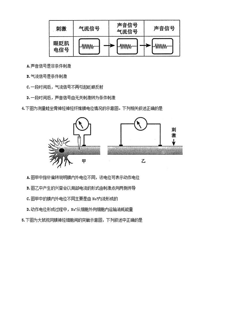 郑州市2024-2025学年高二上学期期末生物试卷及答案第2页