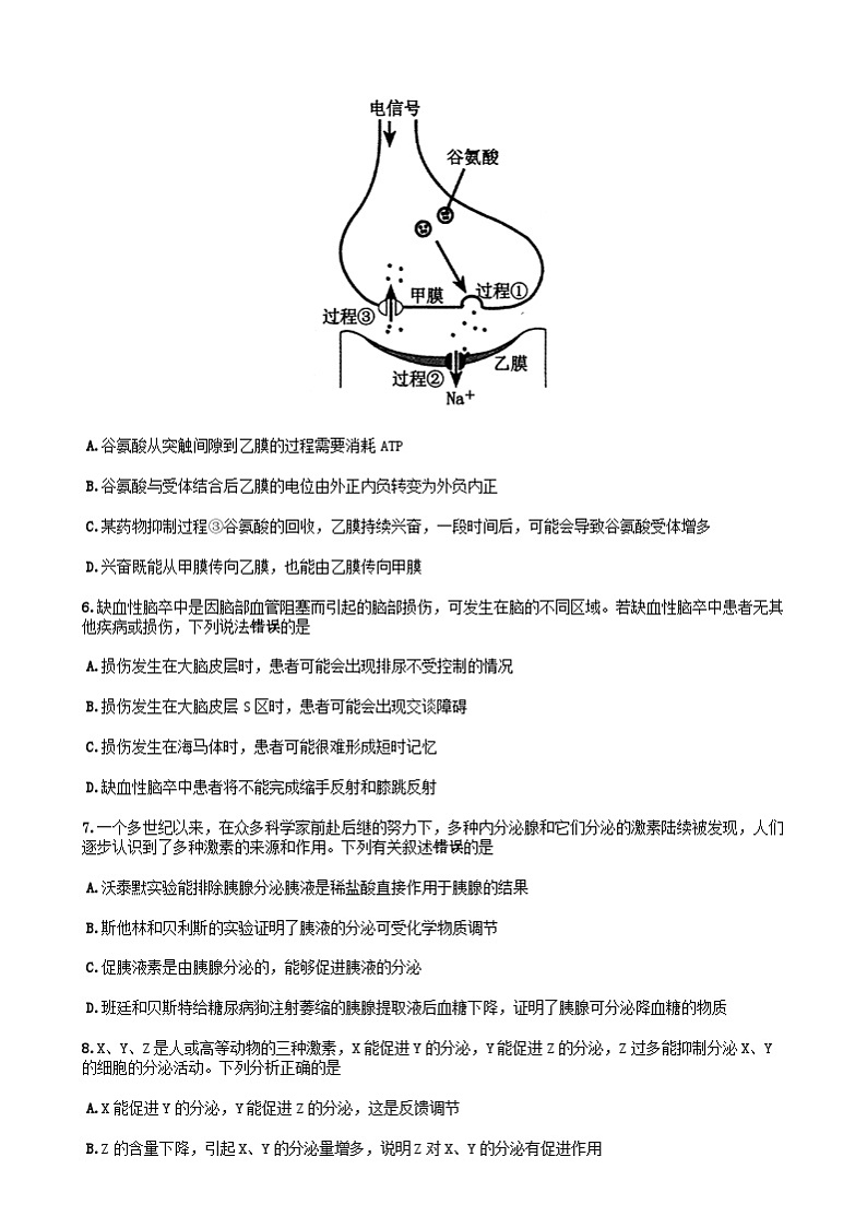 郑州市2024-2025学年高二上学期期末生物试卷及答案第3页
