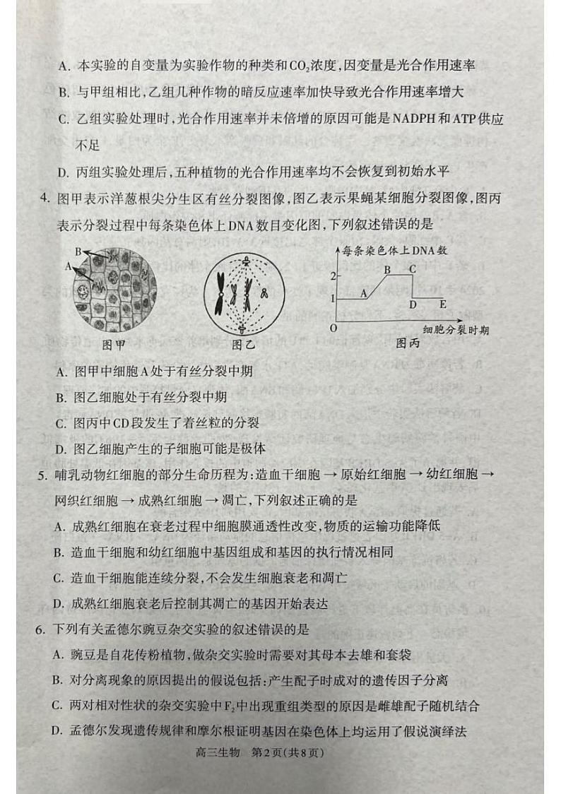 生物丨山西省吕梁市2025届高三1月期末调研考试生物试卷及答案第2页