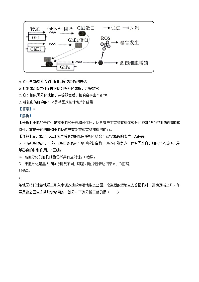 北京市延庆区第一中学2024-2025学年高三上学期12月月考生物试卷  Word版含解析第3页