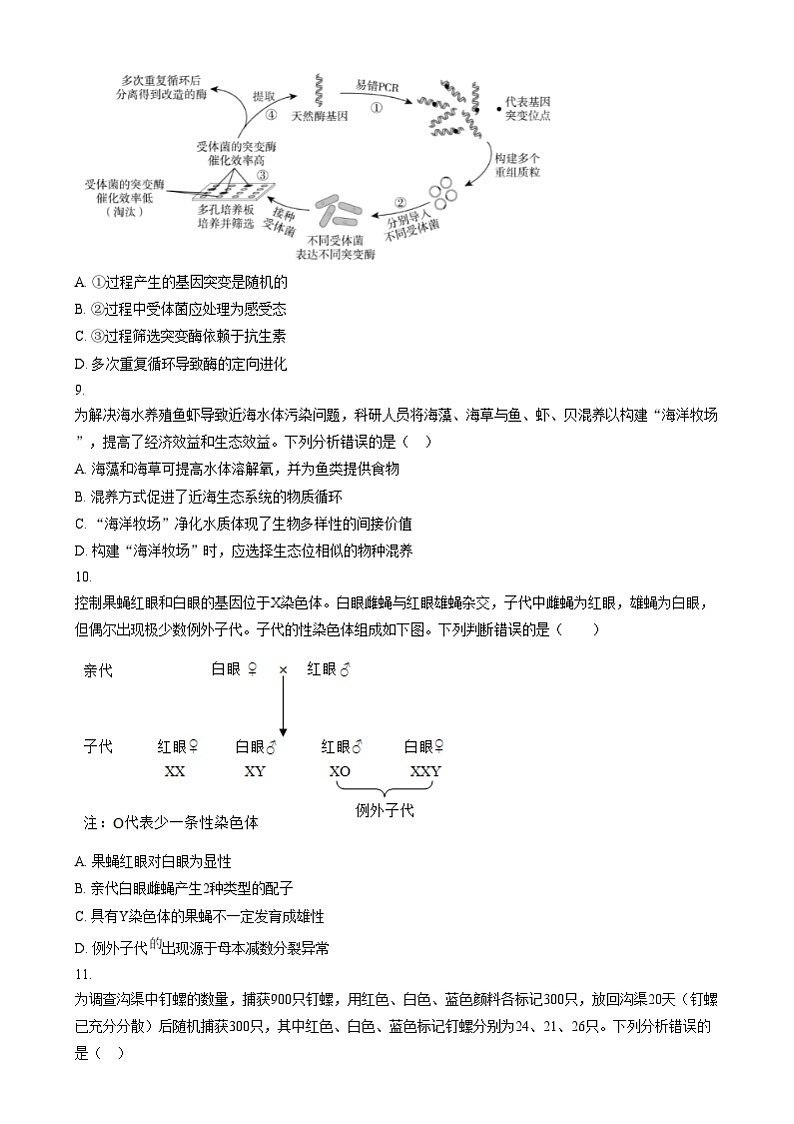 北京市延庆区第一中学2024-2025学年高三上学期12月月考生物试卷  Word版无答案第3页