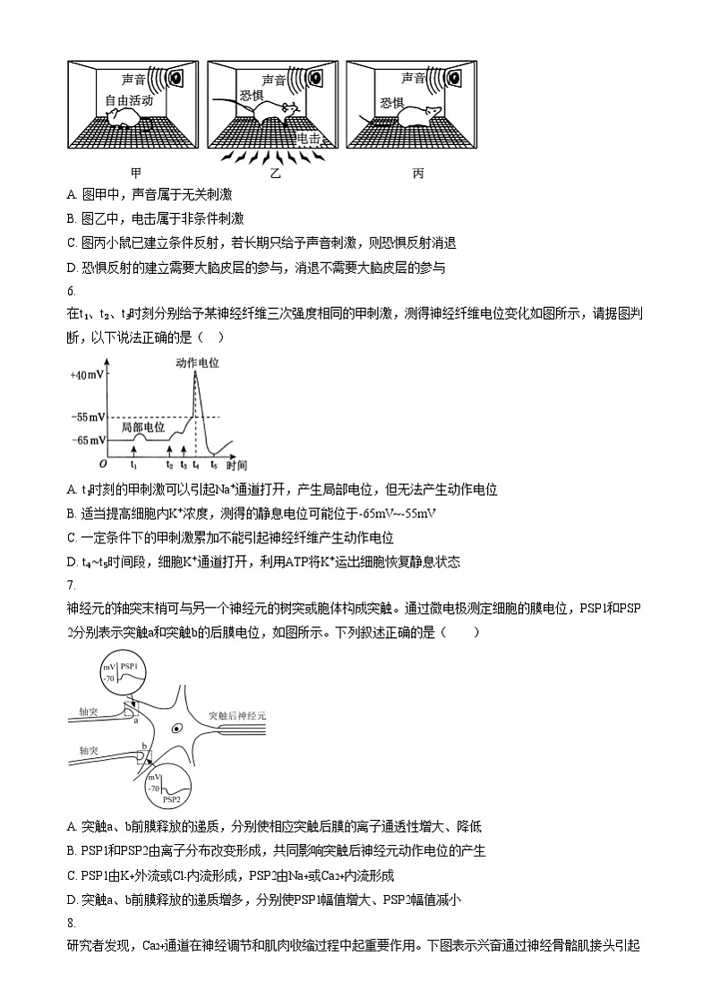 北京市海淀区北京理工大学附属中学2024-2025学年高二上学期12月月考生物试题 Word版无答案第2页