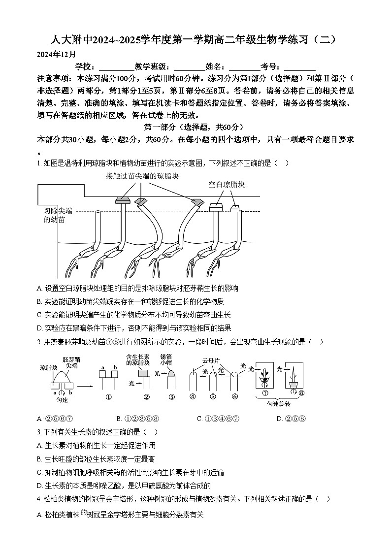 北京市中国人民大学附属中学2024—2025学年高二上学期12月考试生物试题  Word版无答案第1页