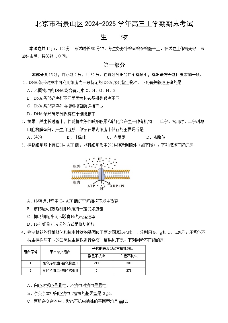 北京市石景山区2024-2025学年高三上学期期末考试生物试卷（Word版附答案）