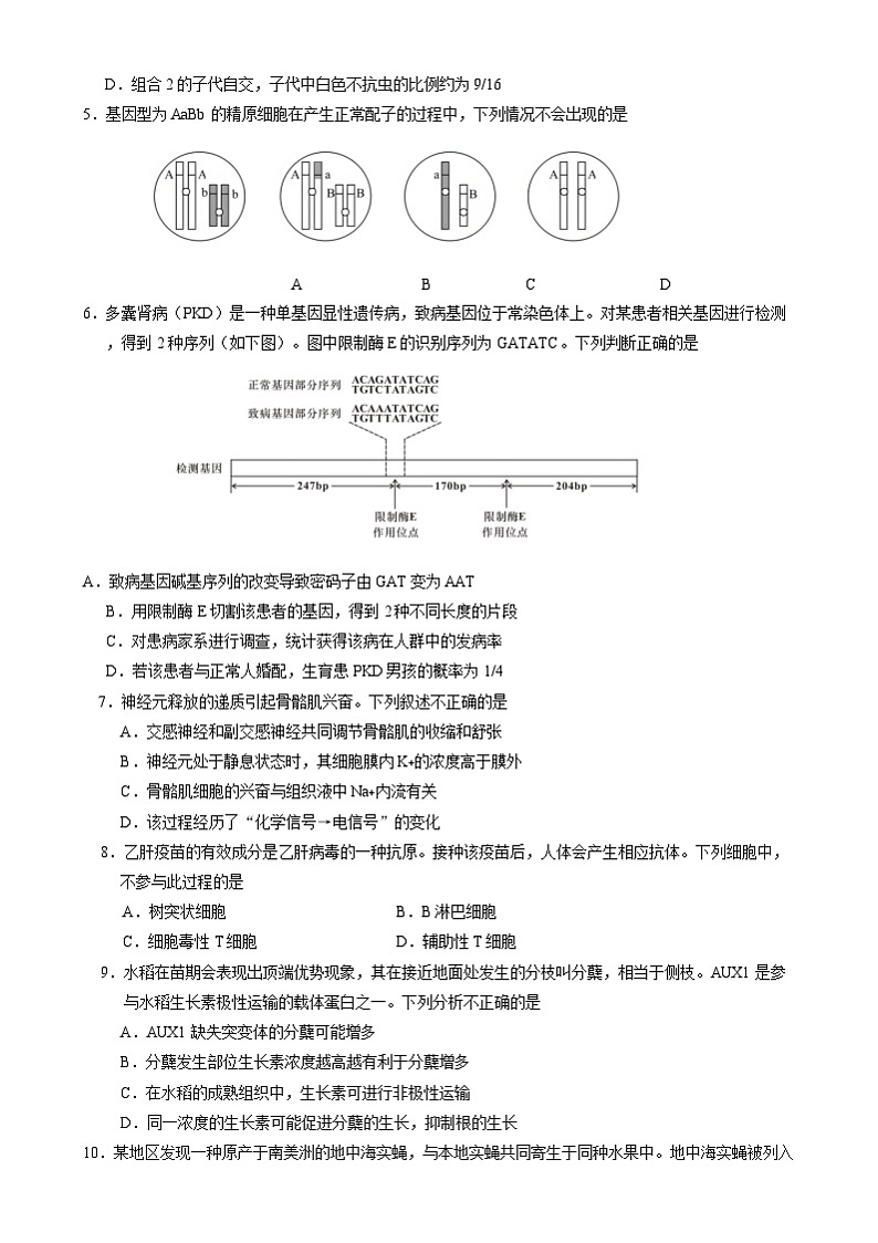 北京市石景山区2024-2025学年高三上学期期末考试生物试卷(Word版附答案)第2页