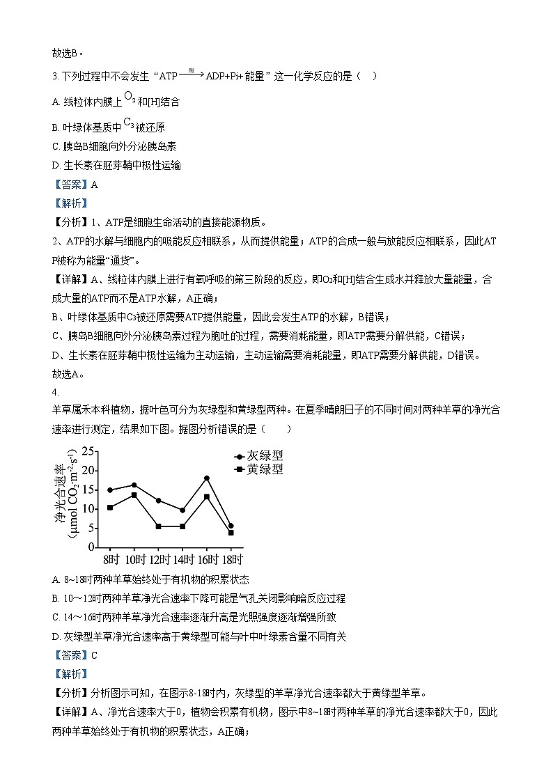 北京市第十一中学2024—2025学年高三上学期12月考试生物试题 Word版含解析第2页