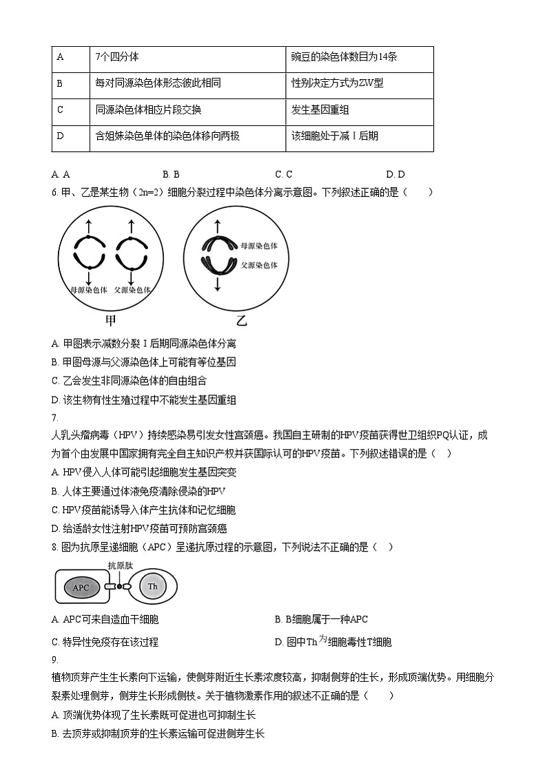 北京市第十一中学2024—2025学年高三上学期12月考试生物试题 Word版无答案第2页