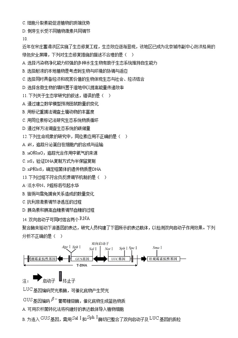 北京市第十一中学2024—2025学年高三上学期12月考试生物试题 Word版无答案第3页