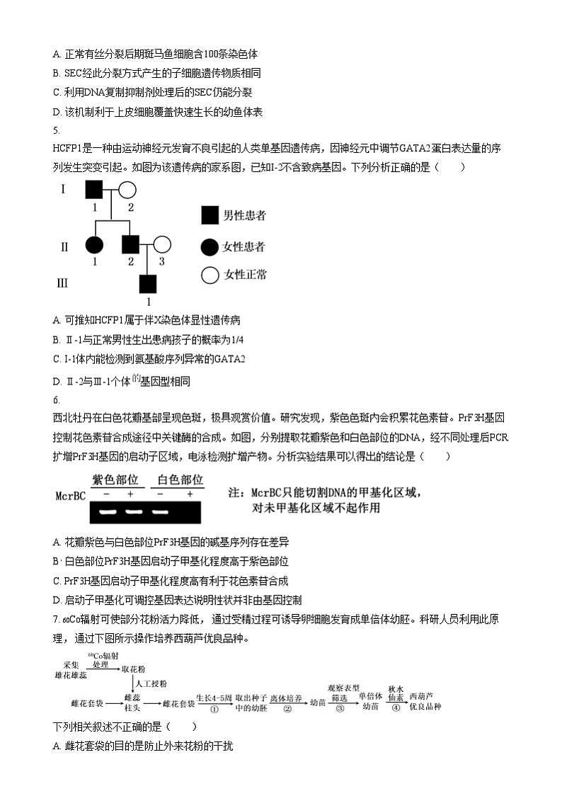 北京市第二中学2024-2025学年高三上学期12月月考生物试卷 Word版无答案第2页