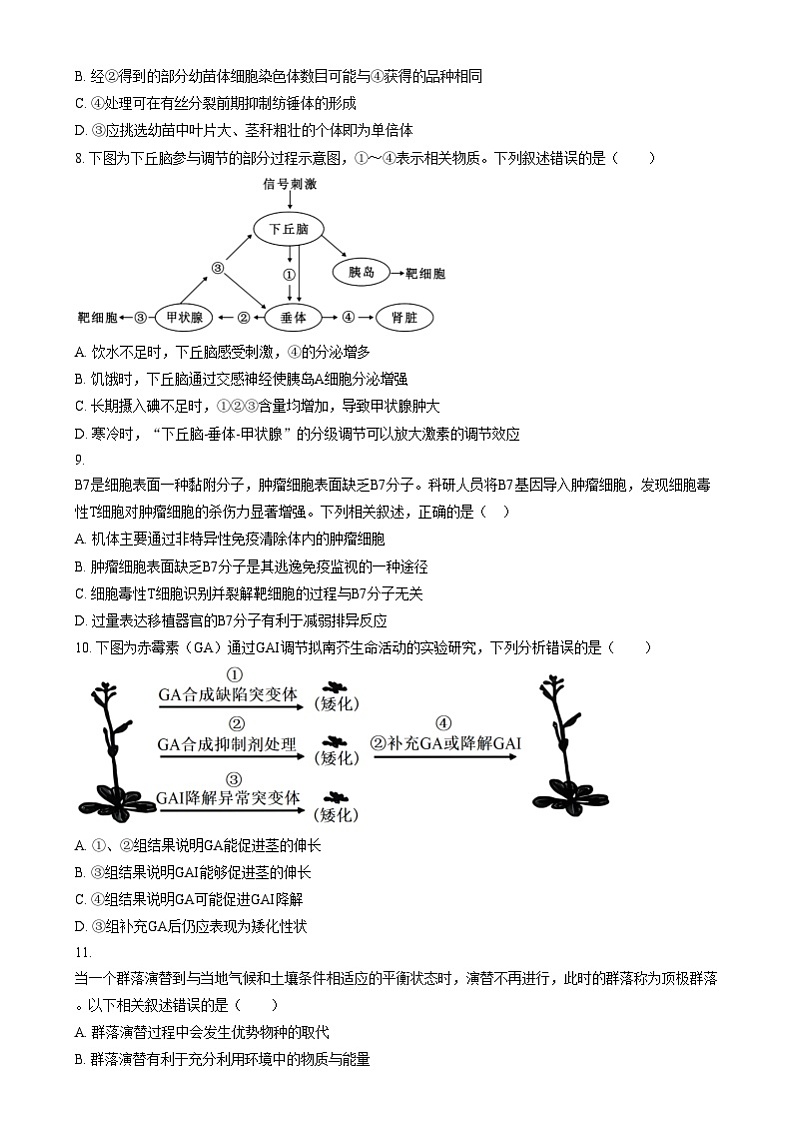 北京市第二中学2024-2025学年高三上学期12月月考生物试卷 Word版无答案第3页