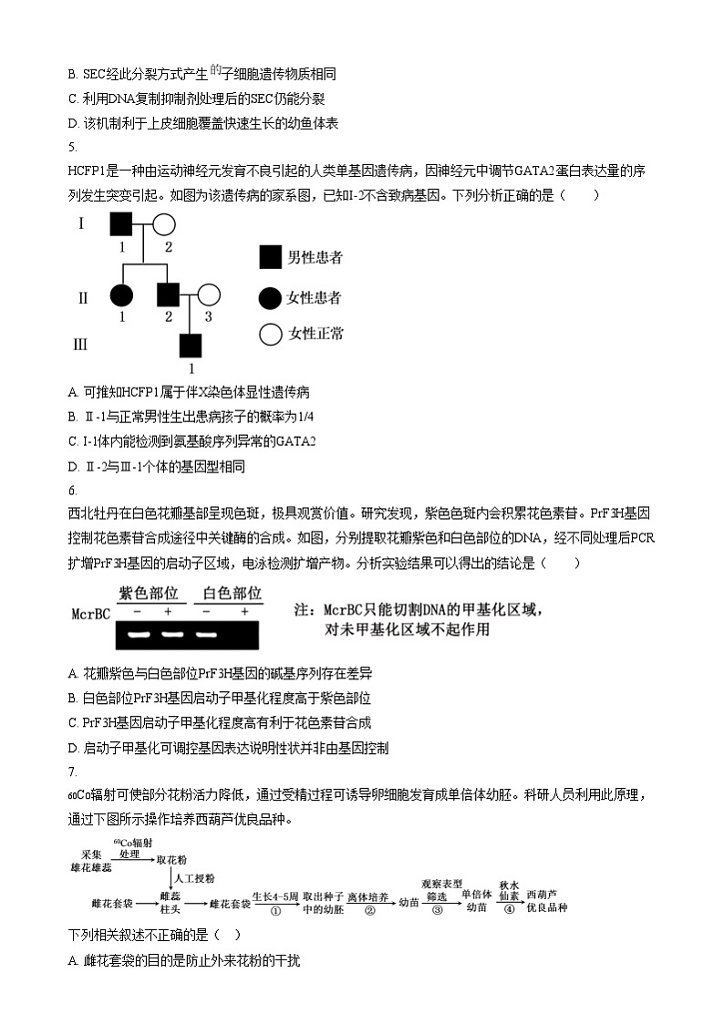 北京市第二中学2024-2025学年高三上学期12月月考生物试卷 Word版无答案第2页