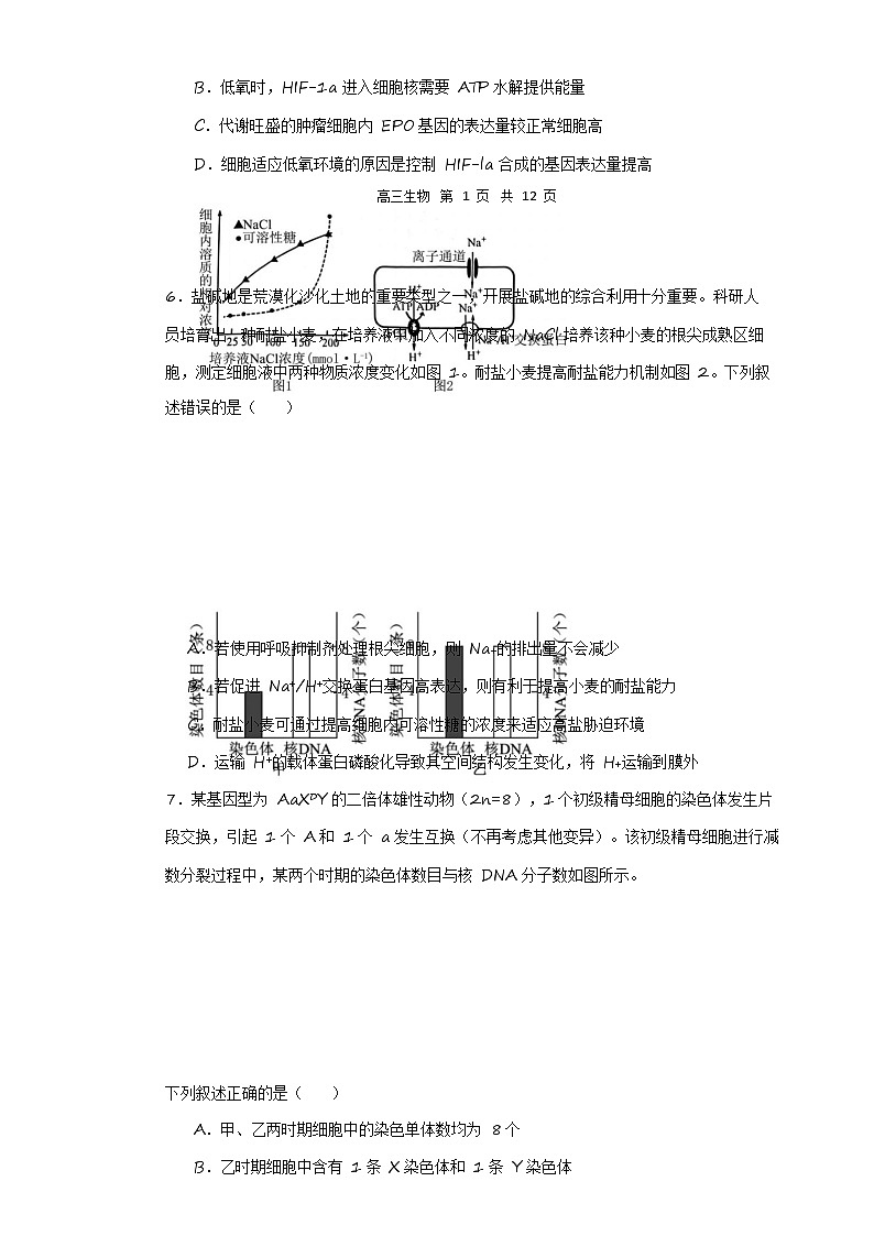 哈三中2024—2025学年度上学期高三学年期末考试生物试题第2页