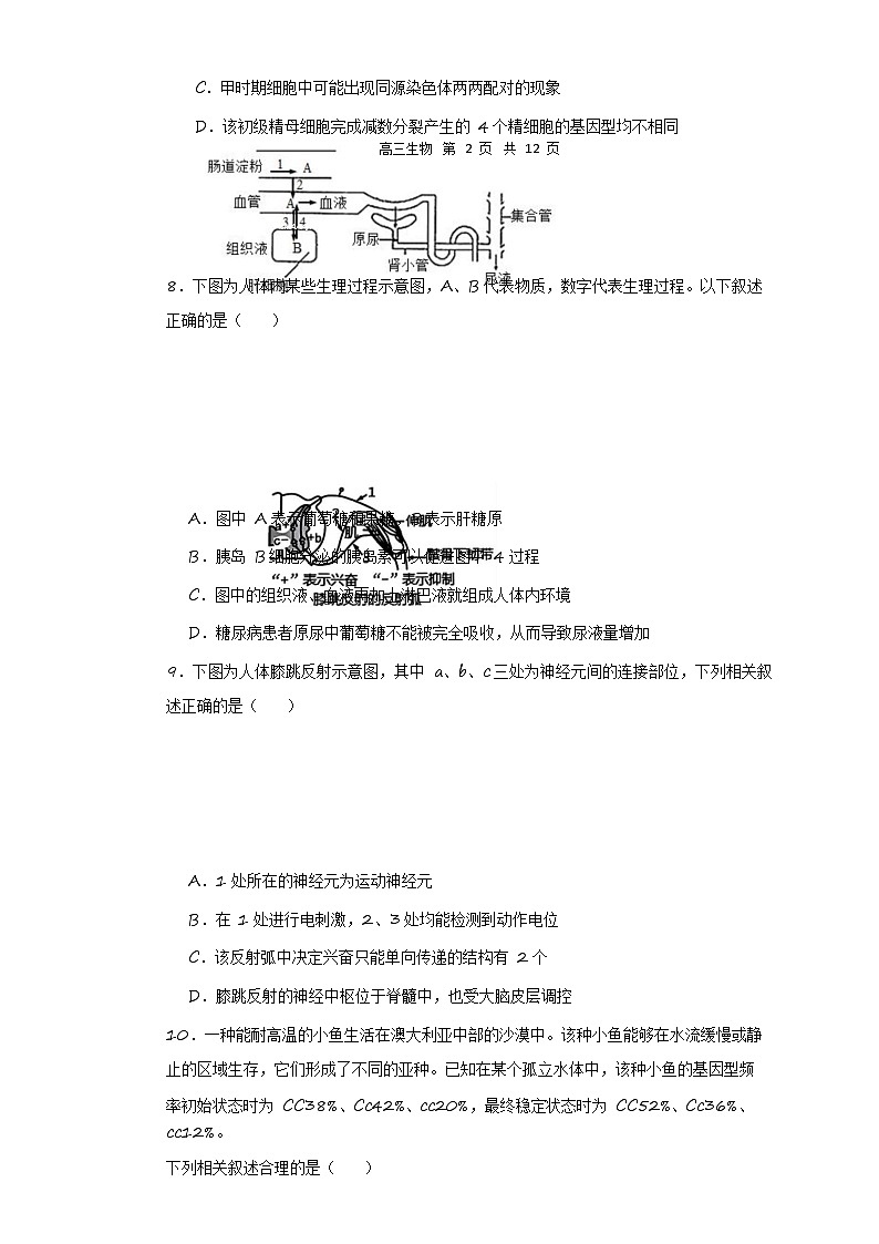 哈三中2024—2025学年度上学期高三学年期末考试生物试题第3页