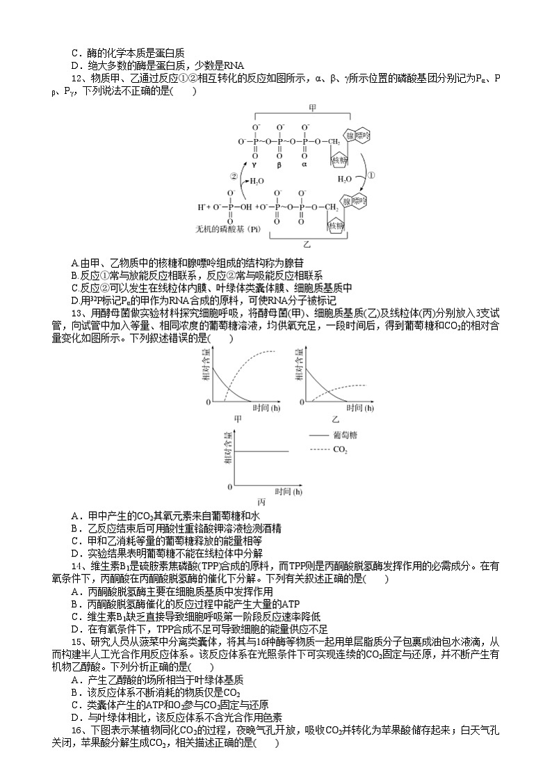 湖北省随州市部分2024-2025学年高一上学期1月期末生物试题第3页
