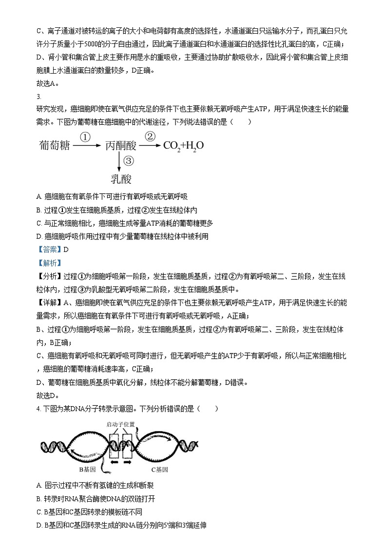 吉林省长春市东北师范大学附属中学2024-2025学年高三上学期第三次摸底考试生物试卷 Word版含解析第2页