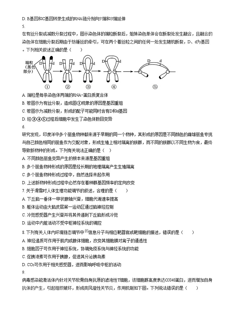吉林省长春市东北师范大学附属中学2024-2025学年高三上学期第三次摸底考试生物试卷 Word版无答案第2页