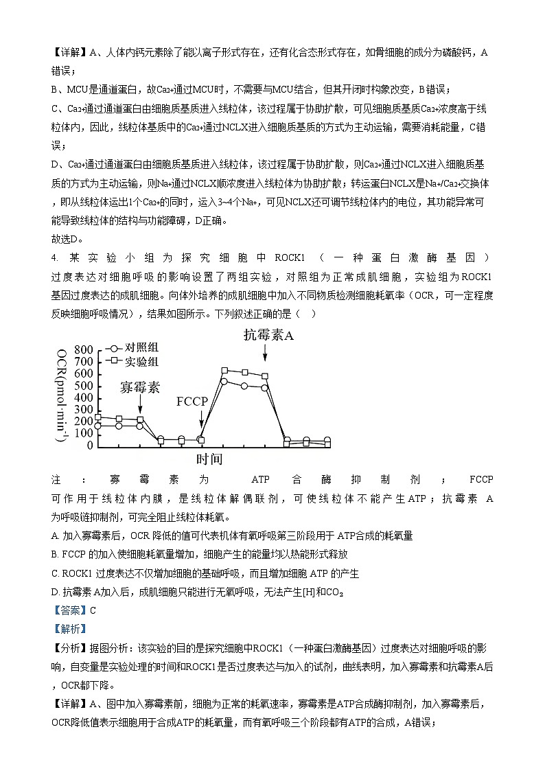 四川省南充市西充中学2024-2025学年高三上学期适应性考试生物试卷(Word版附解析)第3页
