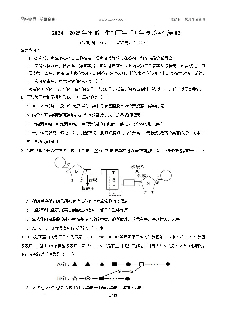 高一生物开学摸底考02(人教版2019)-2024-2025学年高中下学期开学摸底考试卷 高一生物开学摸底考(人教版2019)02(考试版)第1页