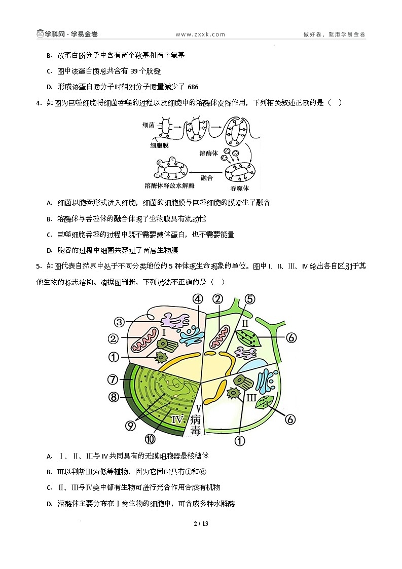 高一生物开学摸底考02(人教版2019)-2024-2025学年高中下学期开学摸底考试卷 高一生物开学摸底考(人教版2019)02(考试版)第2页