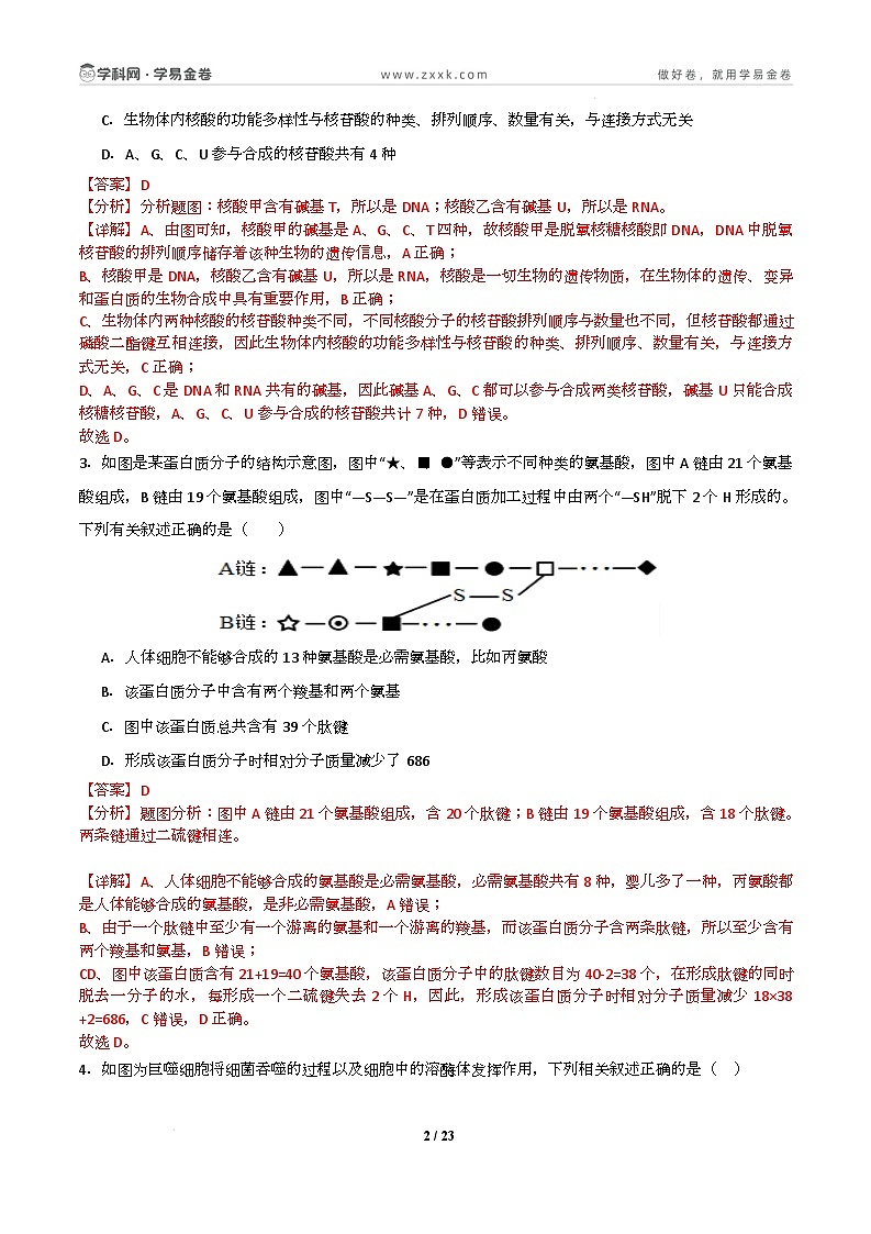 高一生物开学摸底考02(人教版2019)-2024-2025学年高中下学期开学摸底考试卷 高一生物开学摸底考(人教版2019)02(全解全析)第2页