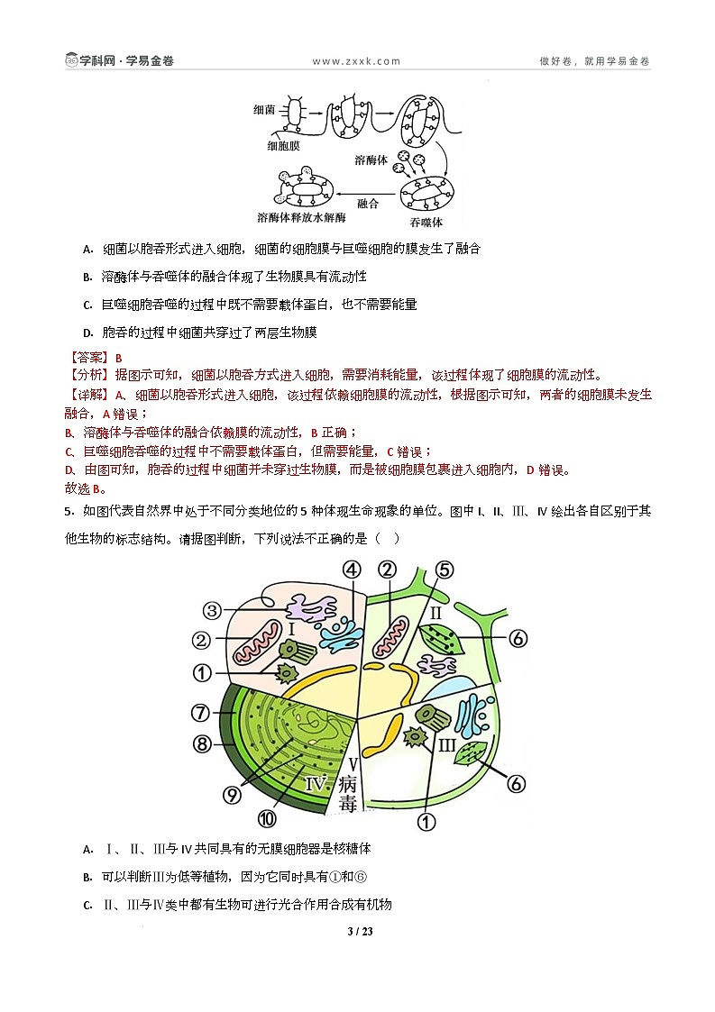 高一生物开学摸底考02(人教版2019)-2024-2025学年高中下学期开学摸底考试卷 高一生物开学摸底考(人教版2019)02(全解全析)第3页