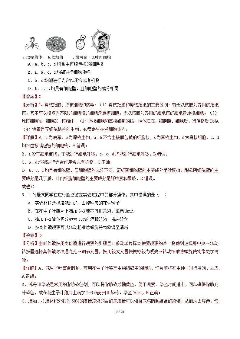 高一生物开学摸底考(江苏专用)-2024-2025学年高中下学期开学摸底考试卷 高一生物开学摸底考(江苏专用)(全解全析)第2页