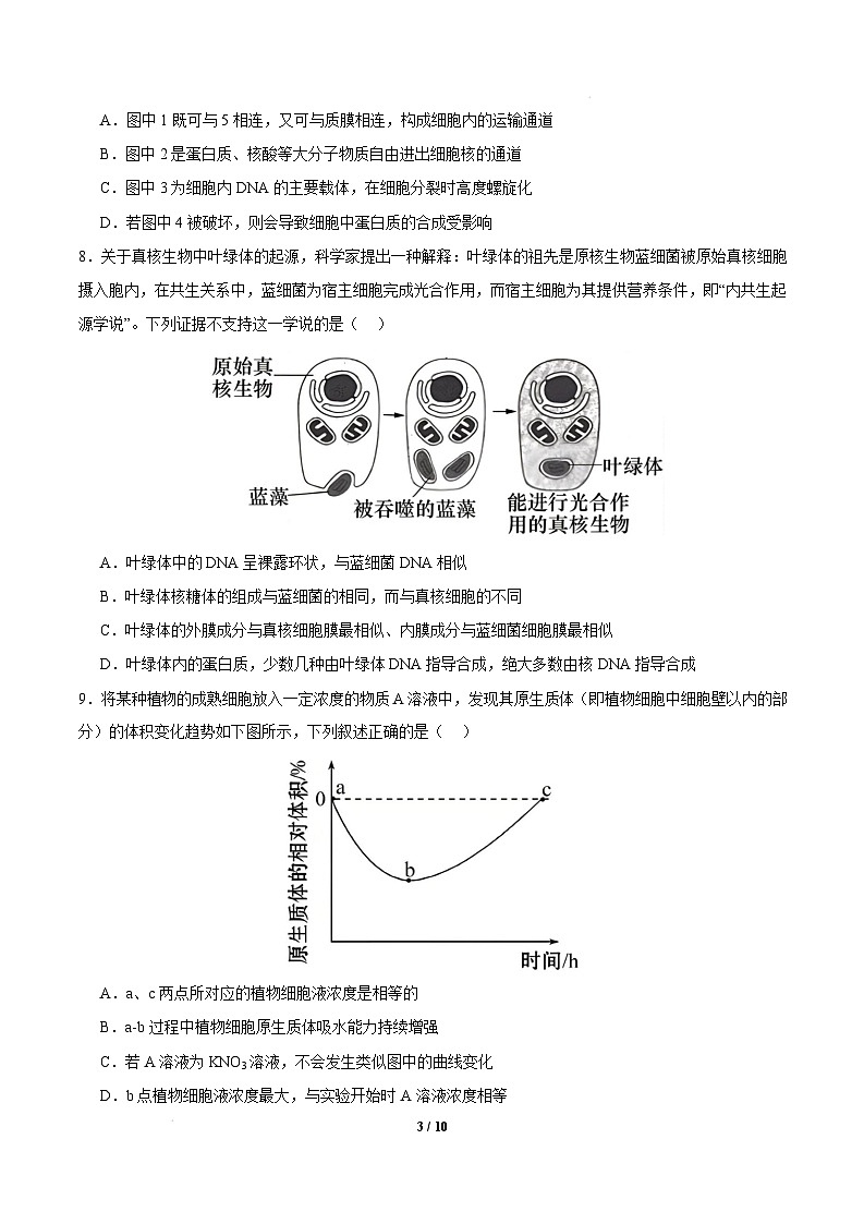 高一生物开学摸底考(江苏专用)-2024-2025学年高中下学期开学摸底考试卷 高一生物开学摸底考(江苏专用)(考试版)第3页