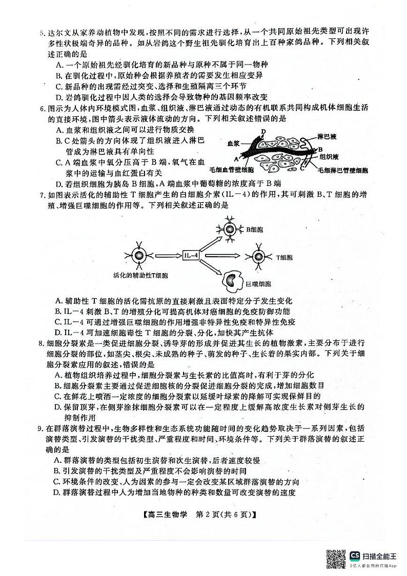 河池市2024年秋季学期高三期末学业水平质量检测生物第2页