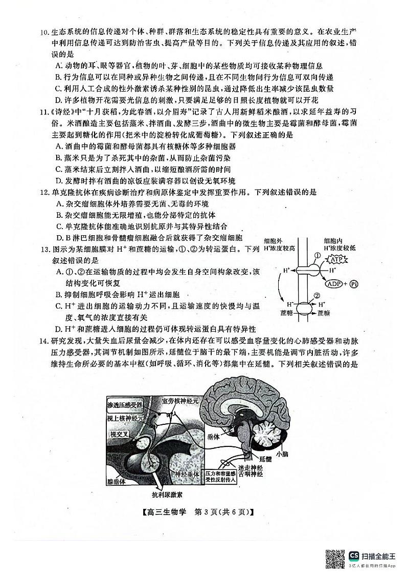 河池市2024年秋季学期高三期末学业水平质量检测生物第3页