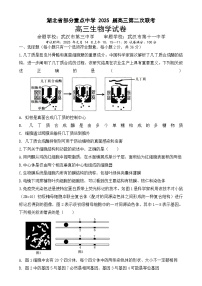 湖北省部分重点中学2024-2025学年高三上学期第二次联考（期末）生物试卷（Word版附答案）
