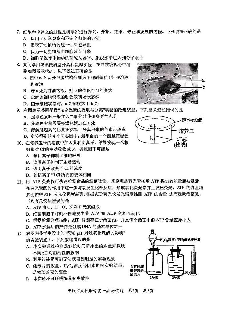 浙江省宁波市九校2024-2025学年高一上学期期末联考生物试卷(PDF版附答案)第2页