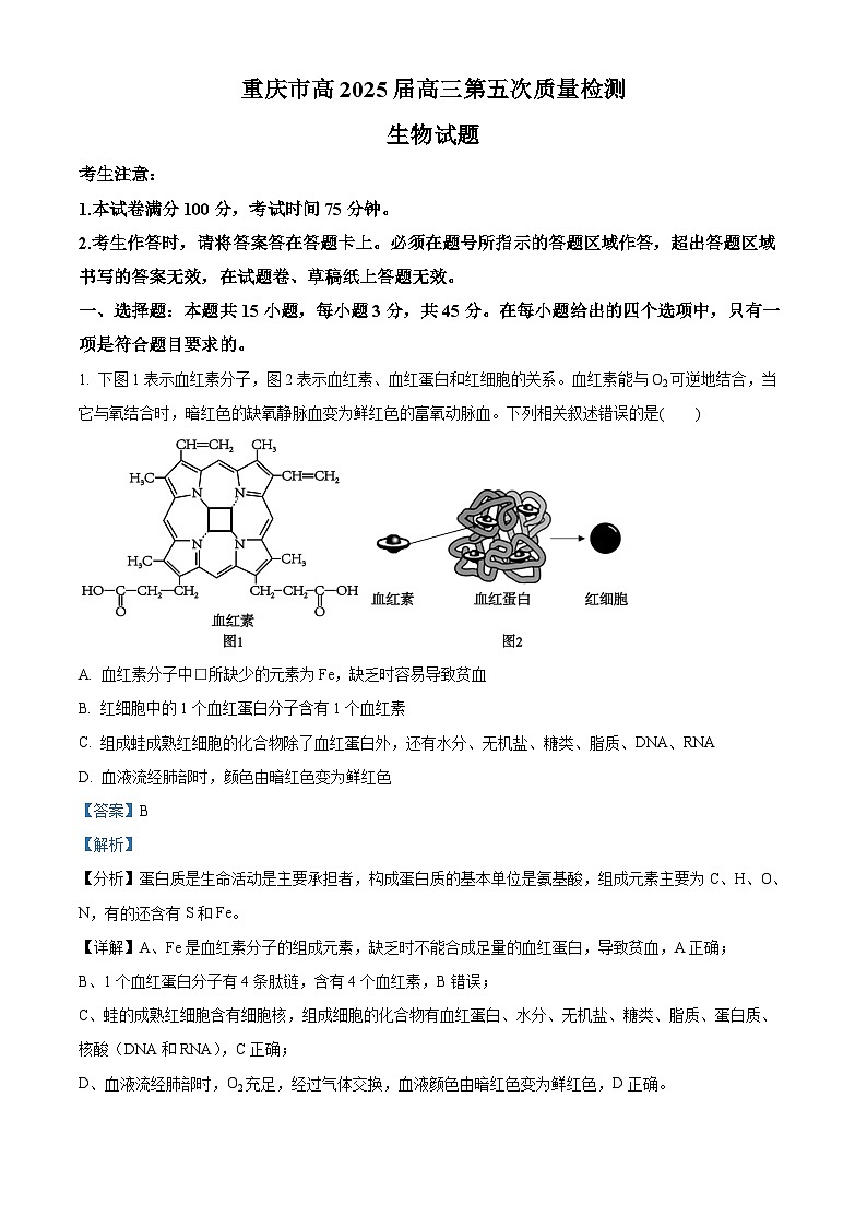 重庆市南开中学2024-2025学年高三上学期1月第五次质量检测生物试卷(Word版附解析)第1页