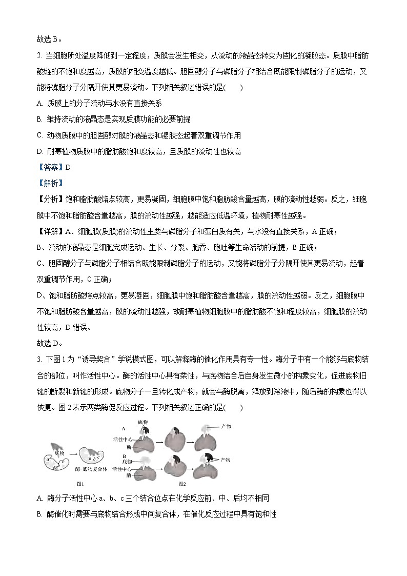 重庆市南开中学2024-2025学年高三上学期1月第五次质量检测生物试卷(Word版附解析)第2页