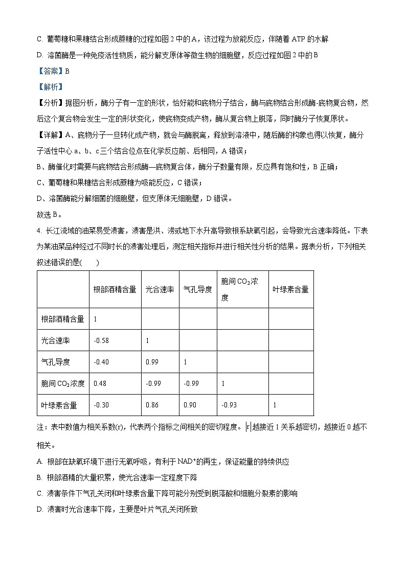 重庆市南开中学2024-2025学年高三上学期1月第五次质量检测生物试卷(Word版附解析)第3页
