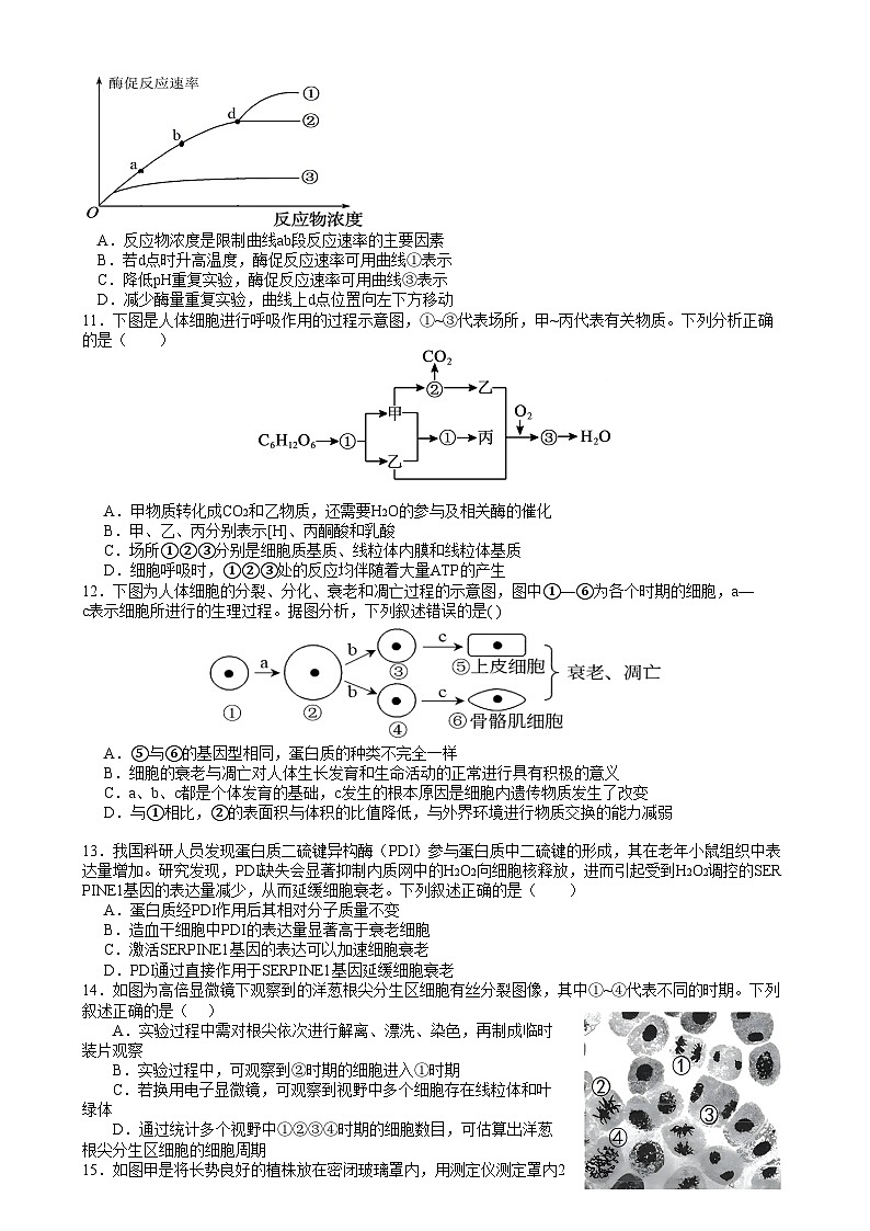 辽宁省沈阳市2024-2025学年度上学期高一期末五校联考生物试题五校联考高一期末生物试卷第3页