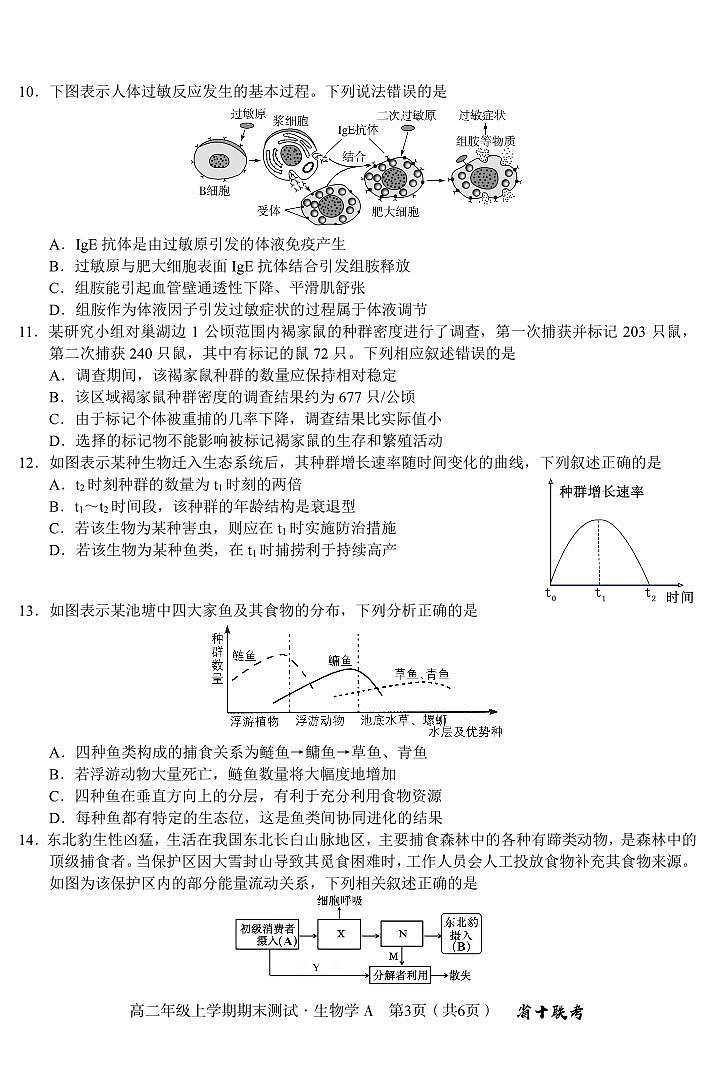 生物A-安徽省合肥一中(省十联考)2024-2025学年度高二上学期期末试题第3页