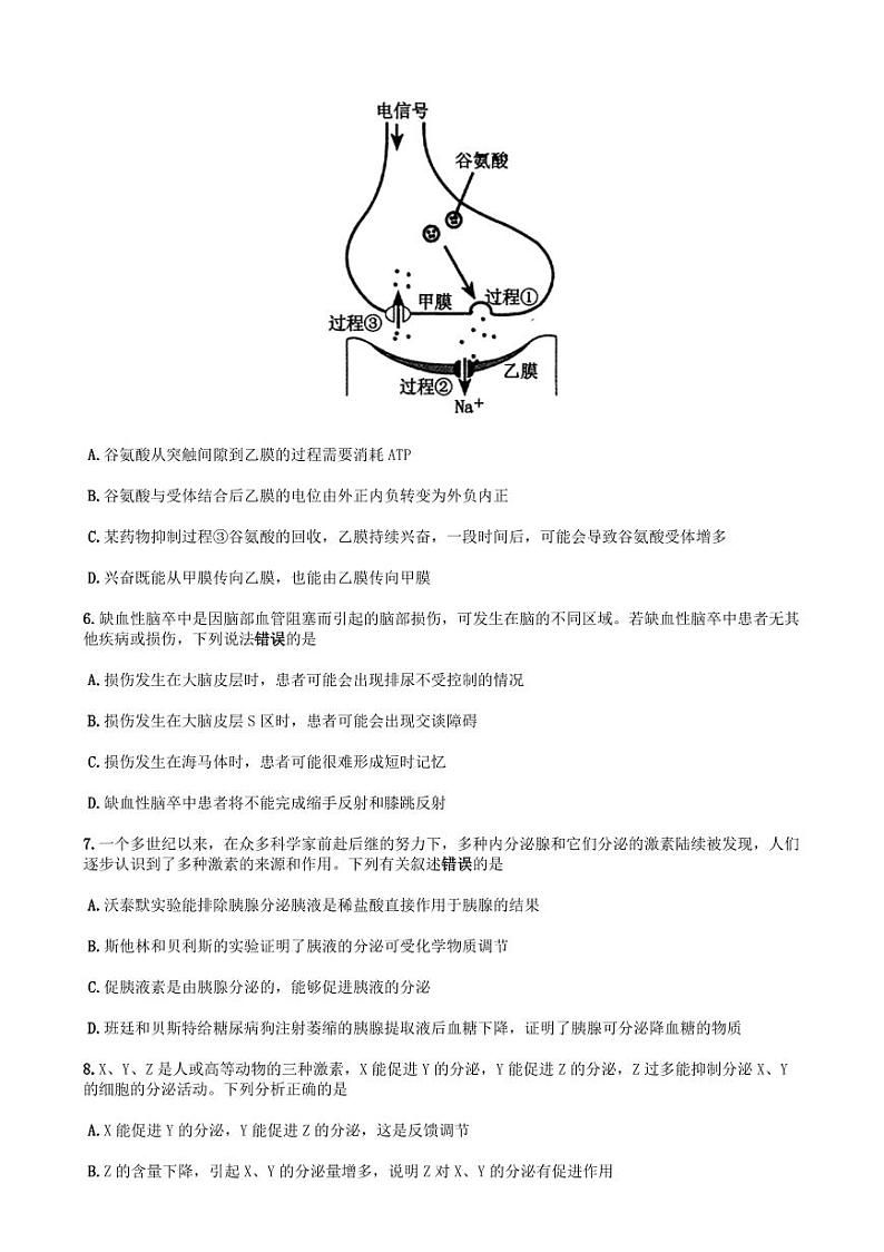河南省郑州市2024-2025学年高二上学期期末考试 生物 Word版含答案第3页