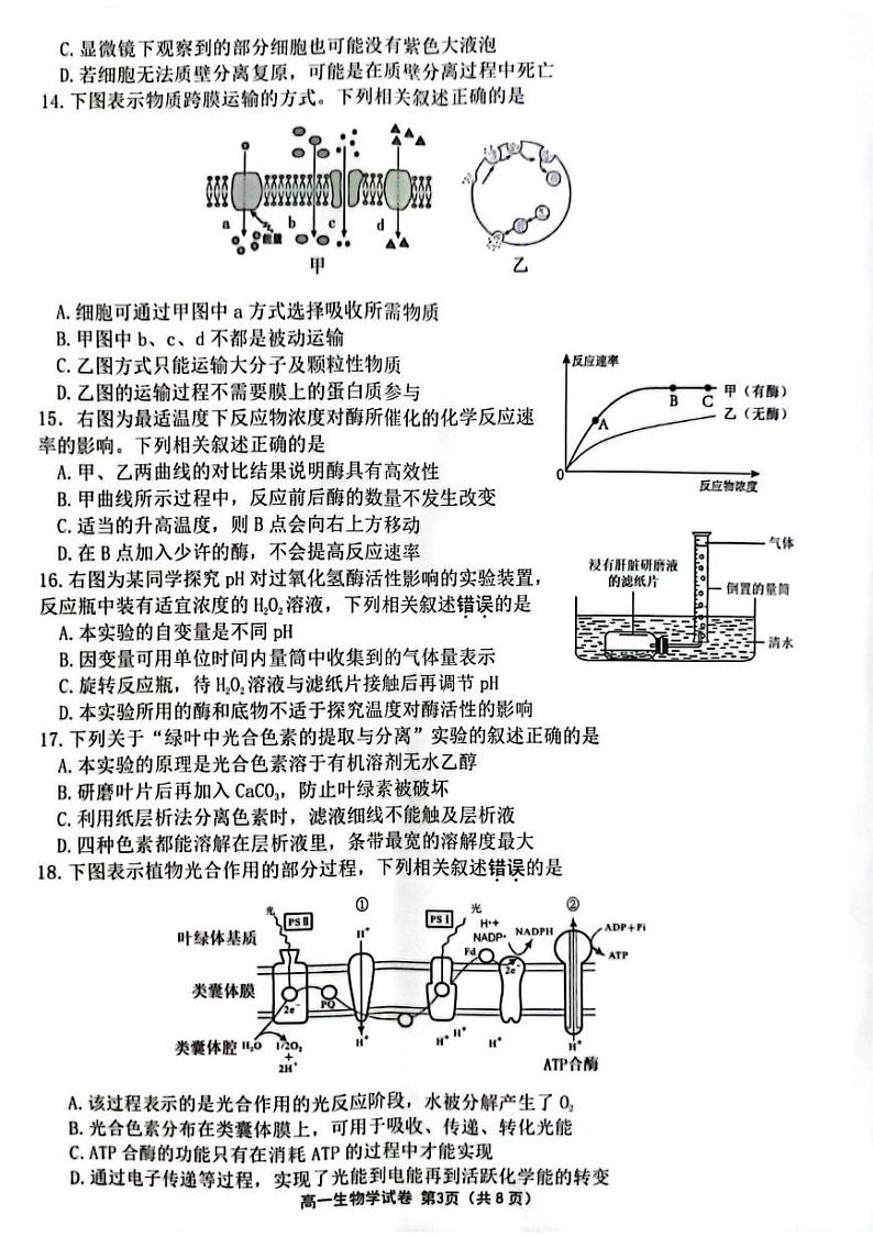 江苏省连云港市2024-2025学年高一上学期期末调研考试 生物 PDF版含答案第3页