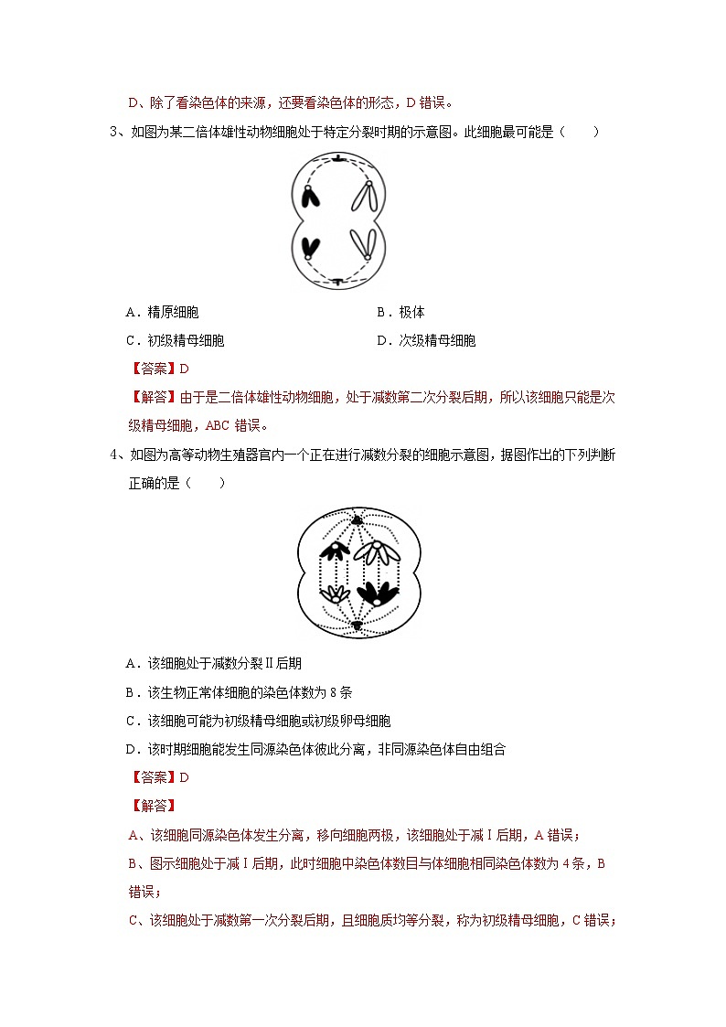 高中生物必修二《遗传与进化》第2章基因和染色体的关系2.1《减数分裂和受精作用》分层作业(原卷版+解析版)第2页