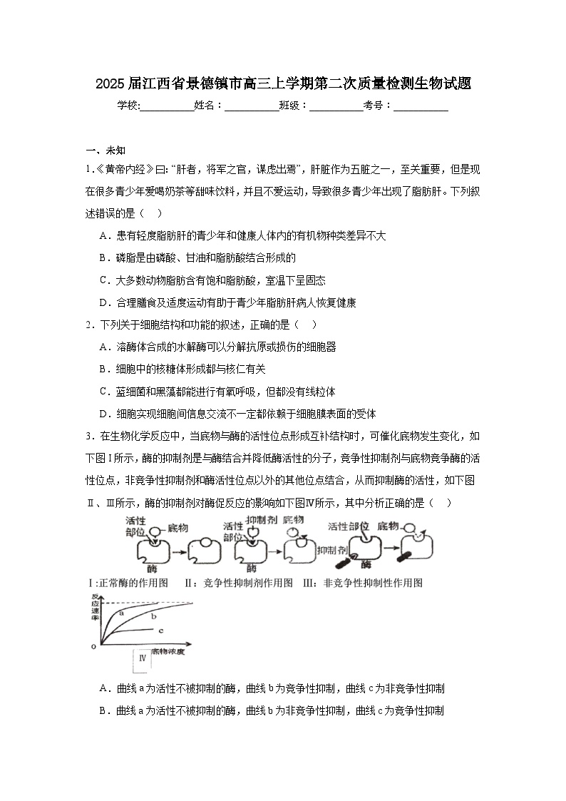 2025届江西省景德镇市高三上学期第二次质量检测生物试题