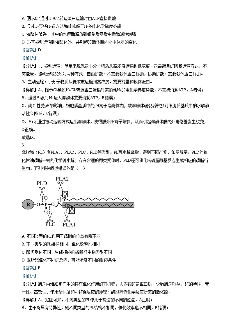 河南省创新发展联盟质量检测2024-2025学年高三上学期11月期中生物试题含解析第2页