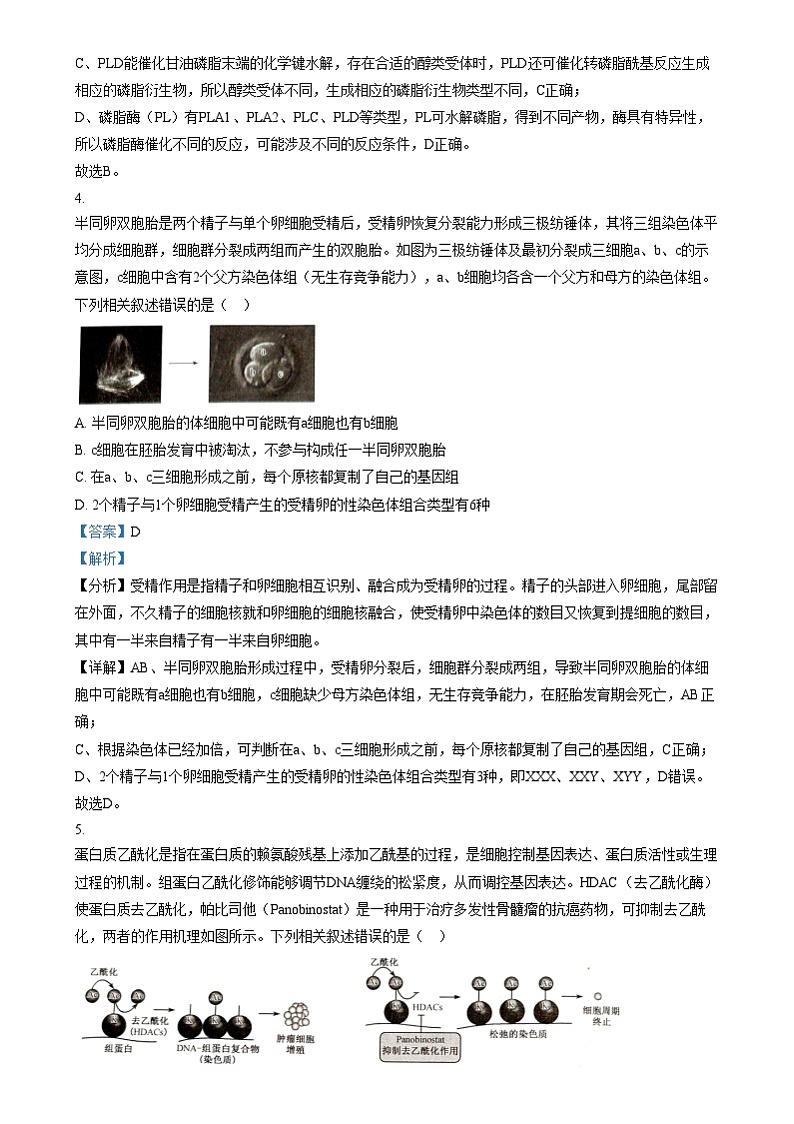 河南省创新发展联盟质量检测2024-2025学年高三上学期11月期中生物试题含解析第3页